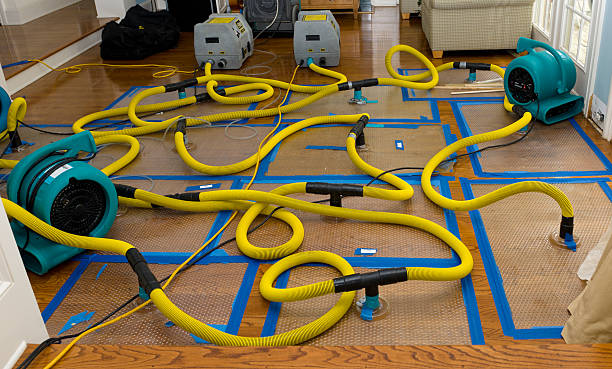Professional Flood Damage Restoration technician working in Tokeland, WA